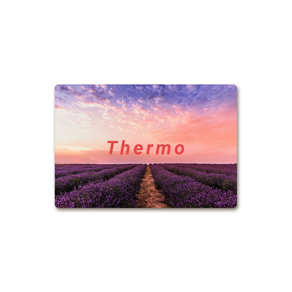 SDTHERMO150x100.jpg