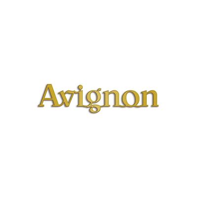 Avignon_G.jpg