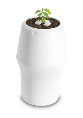 Bios Incube - Plant uw Bios Urn dicht bij jou